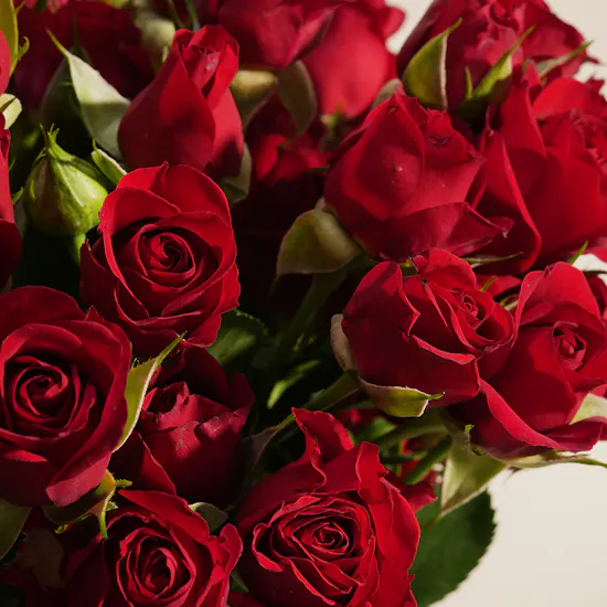 Scarlet Charm Baby Rose Vase