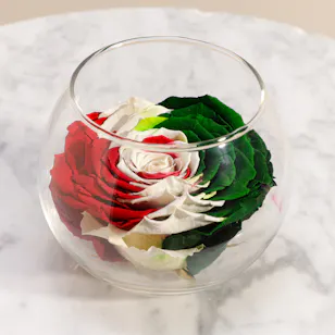 Rays of Happiness Preserved Roses Vase Rays of Happiness Preserved Roses Vase