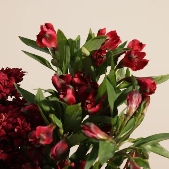 Scarlet Charm Flower Vase