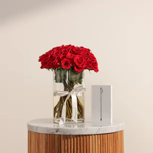 Apple iPhone Air Cloud White 256GB | Luxury Red Roses Vase