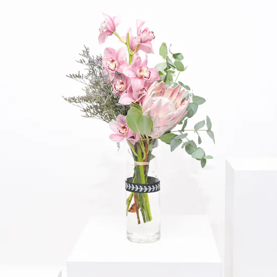 Peace Cymbedium | Glass Vase