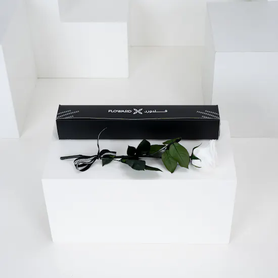 Preserved White Rose | Box