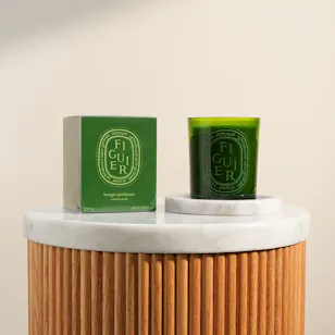 Diptyque Figuier Verte Candle | 300 g Diptyque Figuier Verte Candle | 300 g