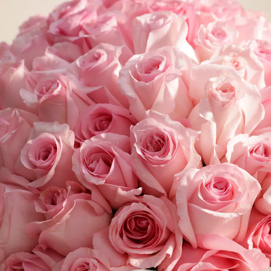Soft Petals Bouquet | 150 Roses 3