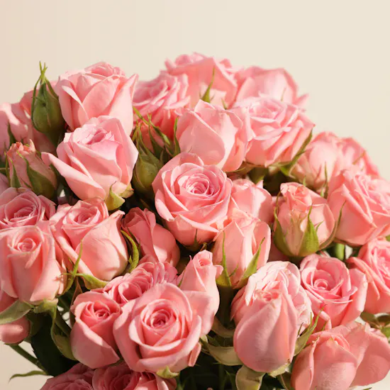 مزهرية زهور النعومة الوردية