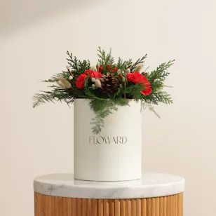 Festival Red Carnation Christmas Box