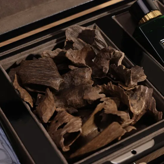 Luxury Oud & Perfume Box by Saad Bashmakh