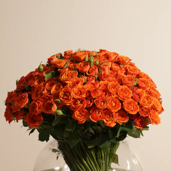 Huge Orange Baby Rose Vase