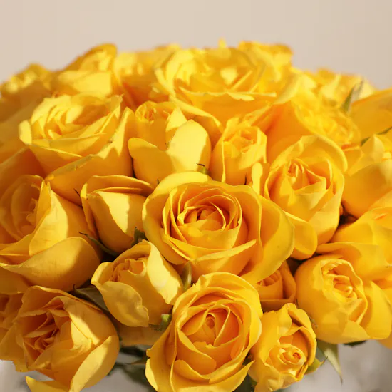 Yellow Baby Roses Vase | 18 Flowers
