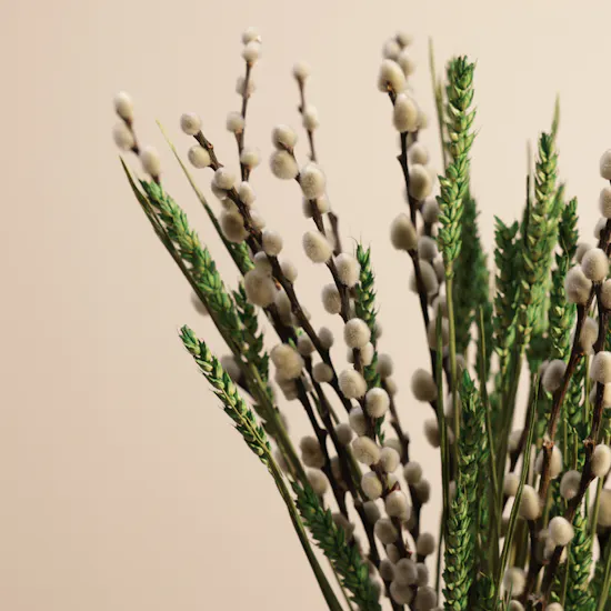 Dried Flowers | Keramos Studio Vase