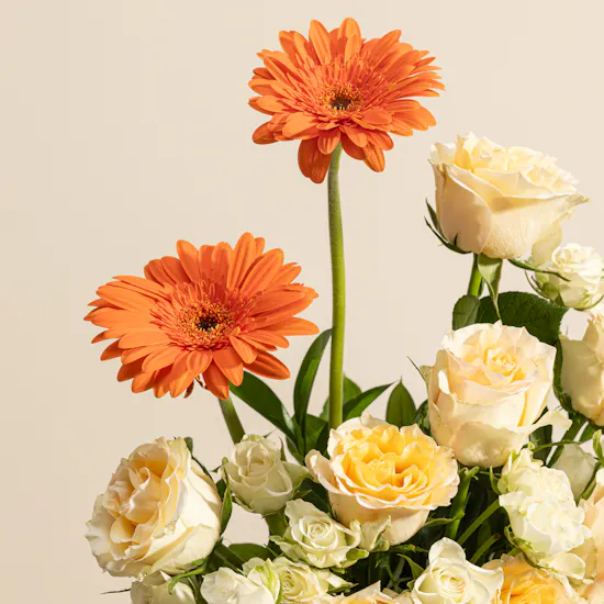 Golden Bloom Flower Box