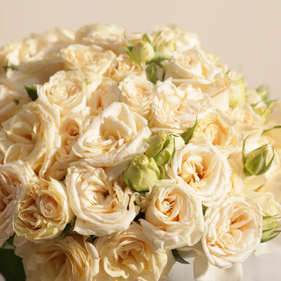 Peach Baby Roses Vase | 18 Flowers