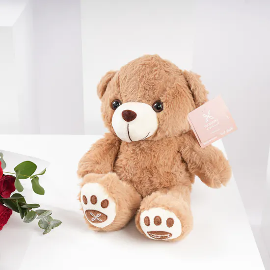 Floward Small Teddy Bear | Dozen Red Roses
