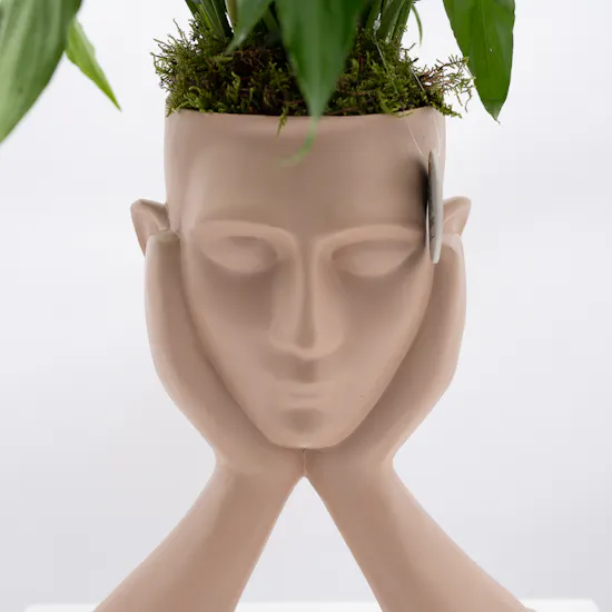 Spathiphyllum Sweet Rocco Plant | Sculpture Pot