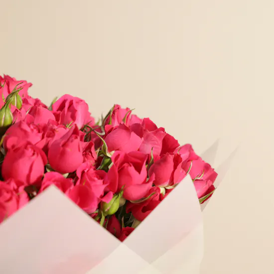 Radiant Fuchsia Baby Rose Bouquet