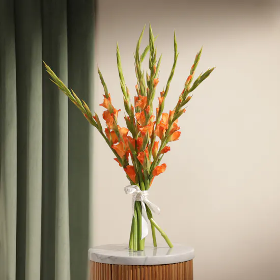 Orange Gladiolus | Flowers Bouquet