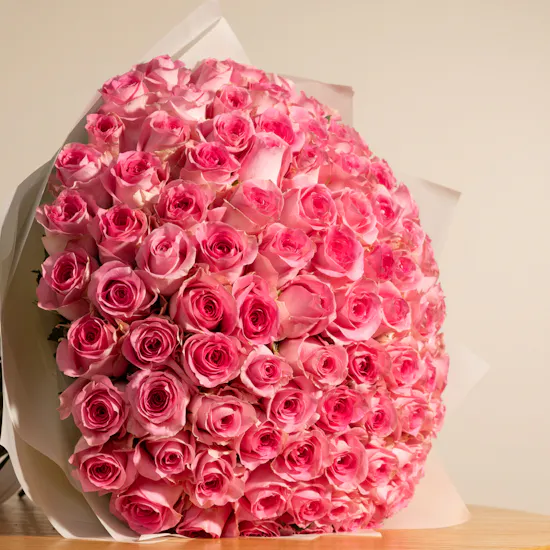 Lovely Roses | 100 Revival Roses