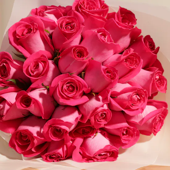 Fuchsia Grace Bouquet | 25 Roses