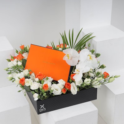 Campo Pouch Box