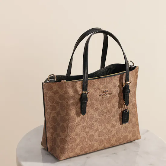 Coach Mollie Beige Women’s Tote Bag