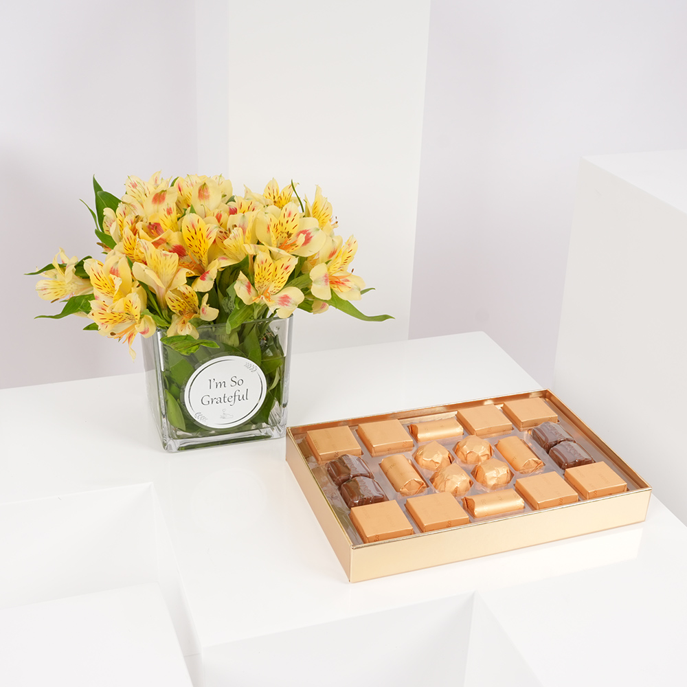 صندوق اسود جلد صغير من بستاني | الستروماريا