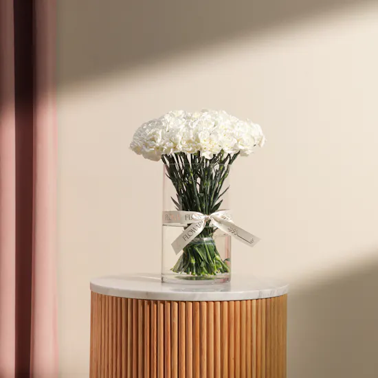 Magical White Carnation Vase