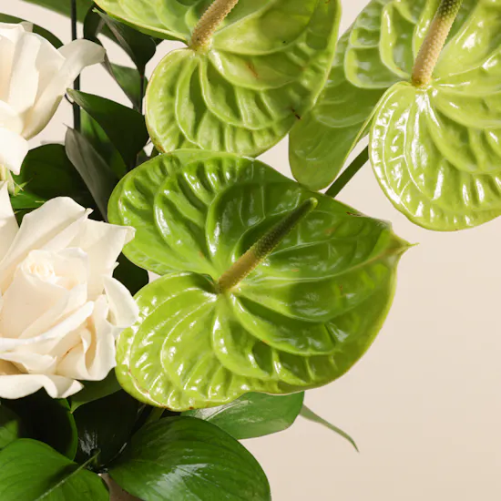 Elegant Flowers Vase