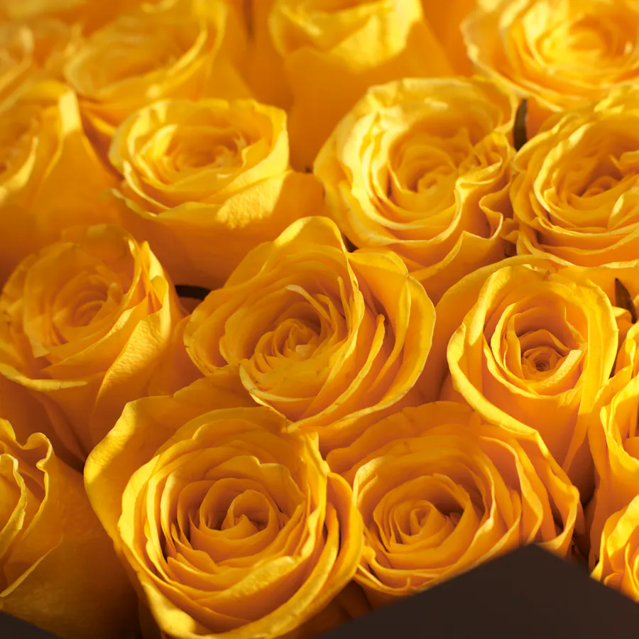 Gorgeous Yellow | 100 Rose Bouquet 3