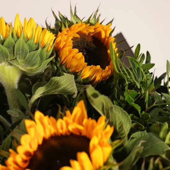 Delight Flowers Bouquet