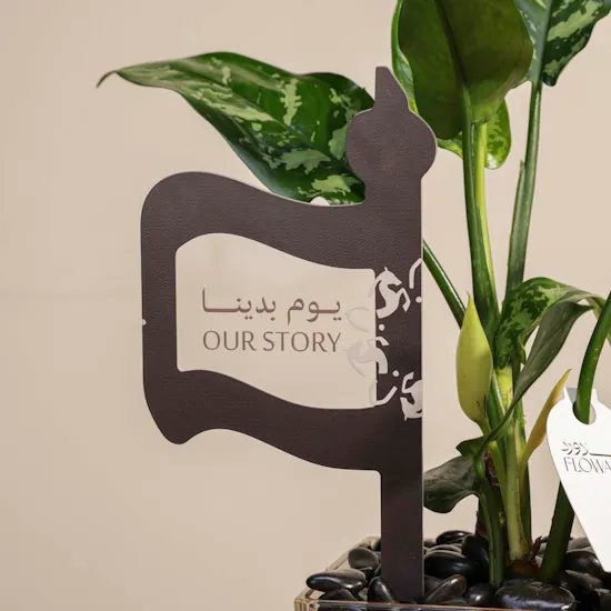 Founding Day Aglaonema Maria Plant Pot