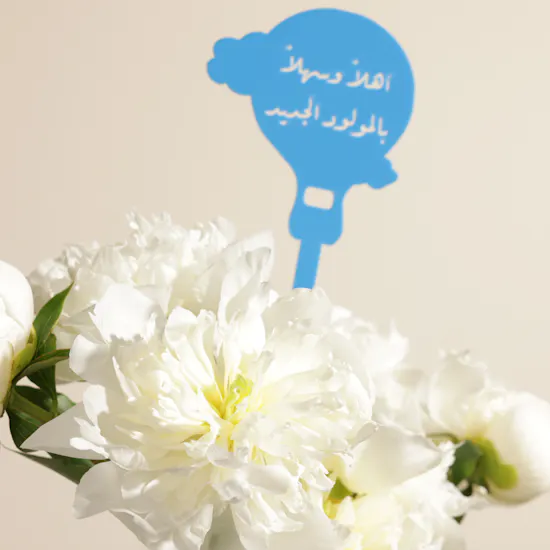 Welcome Little Prince Bundle