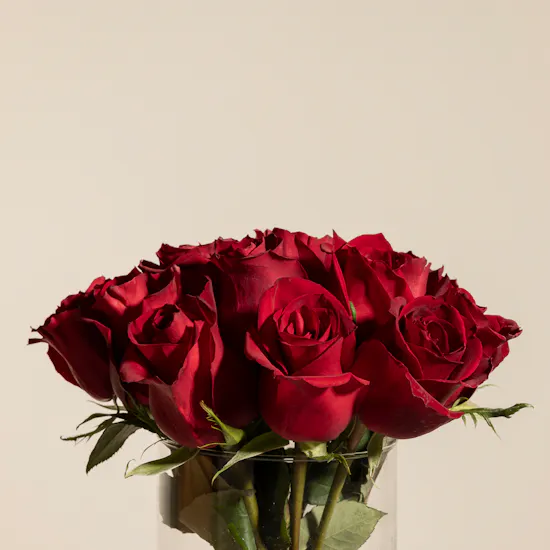 Siran by Iram Half Moon Gold Necklace | Rose Beauty Vase