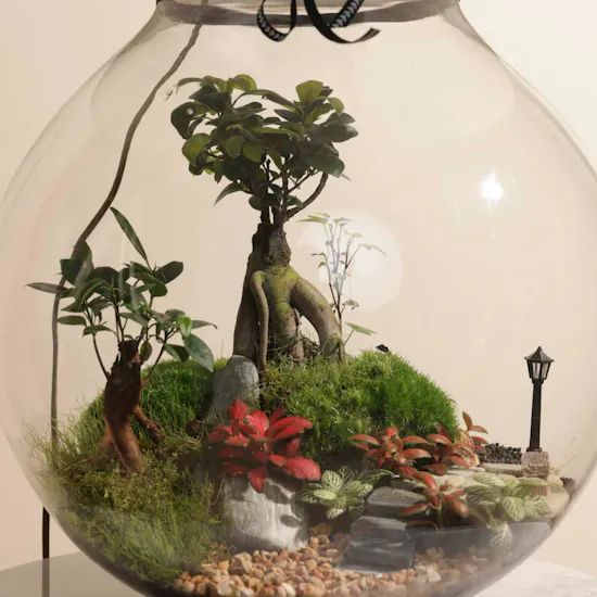 Nature's Glow Terrarium