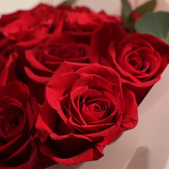 The Ritual Rebalancing Collection Women Set | Love Roses