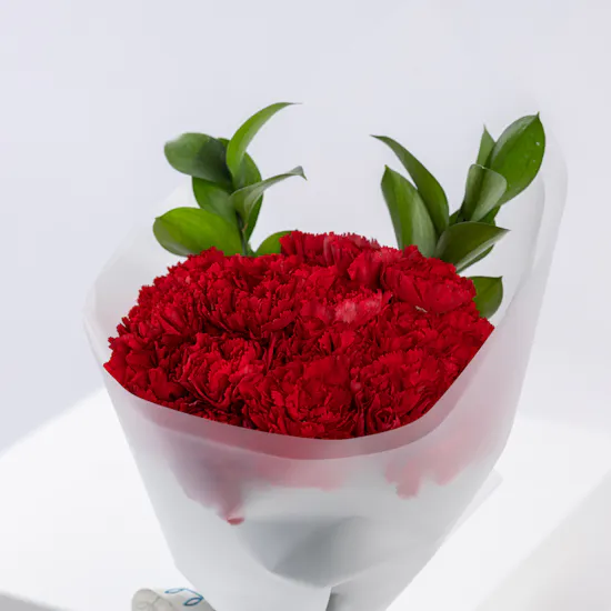 Carnations Radiance | Love Flowers | 25 Carnations