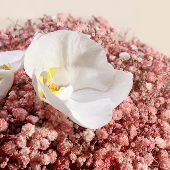 Floward Nuts and Dried Fruits Chocolate Tray | Glamorous Flower Vase