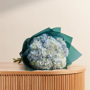 Classy Light Blue Hydrangea Bouquet Classy Light Blue Hydrangea Bouquet