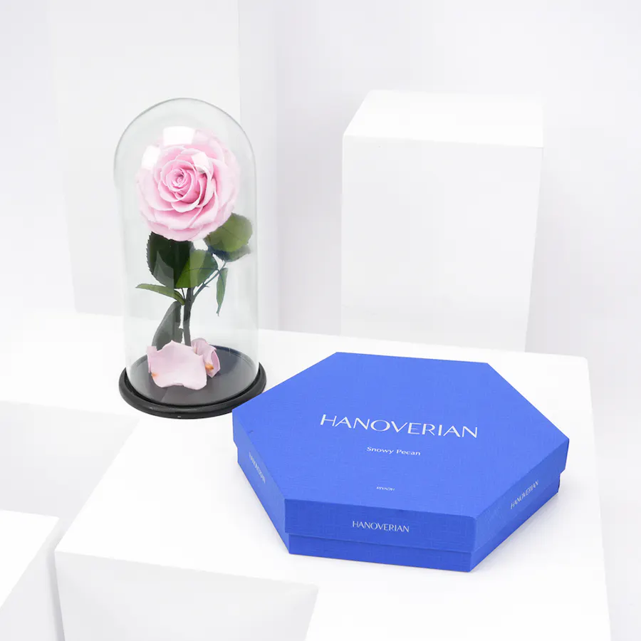 Preserved Pink Rose with Hanoverian Chocolate  1