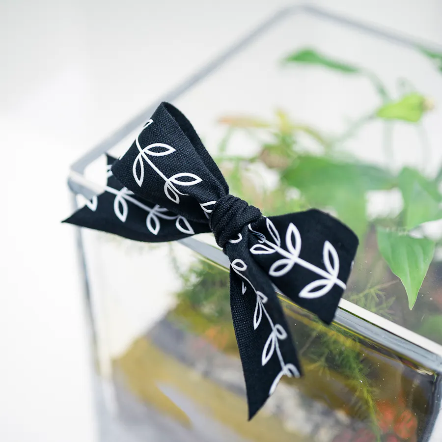 Vivid Tropical Garden | Closed Terrarium  4