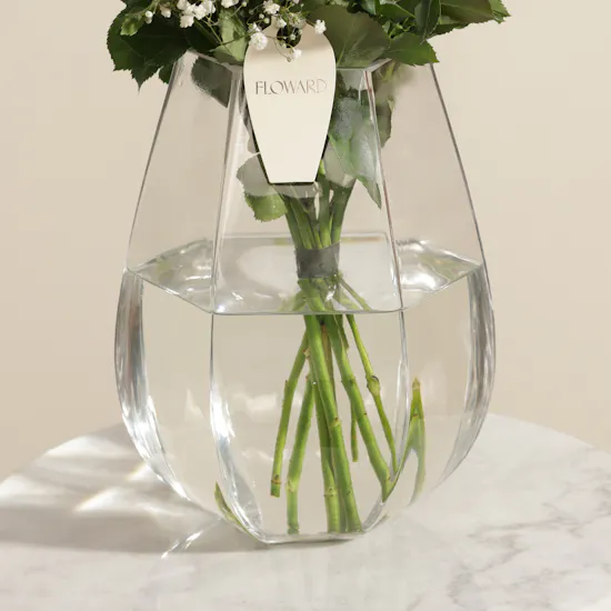 Whisper Elegance Red Baby Rose Vase
