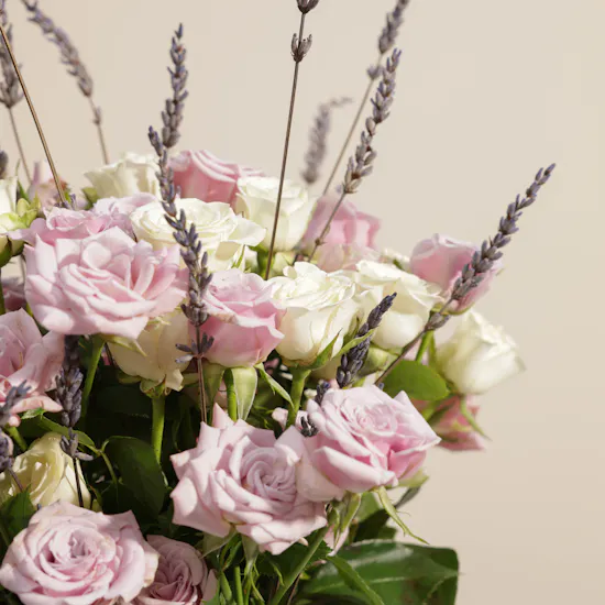 Lavender Field | Cylinder Vase