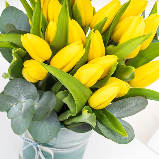 Yellow Tulip | Cylinder Vase