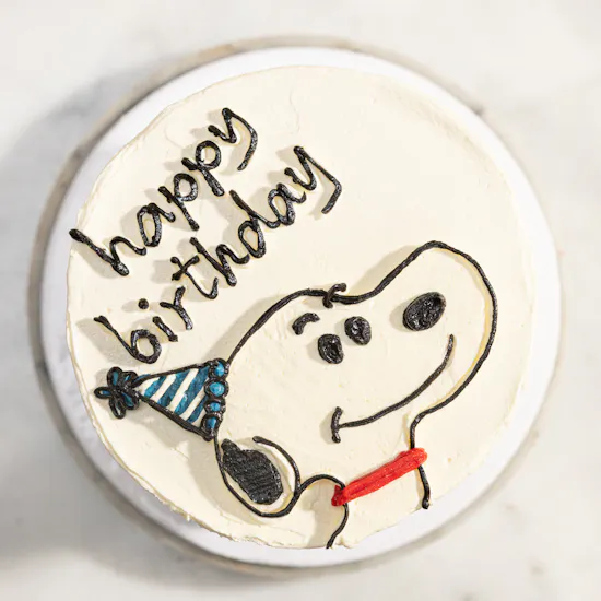 Nino's Bakery Happy Birthday Snoopy Bento Cake