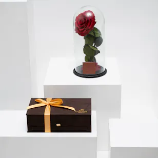 Godiva Small Brown Royal Chocolate Box | Red Preserved Rose