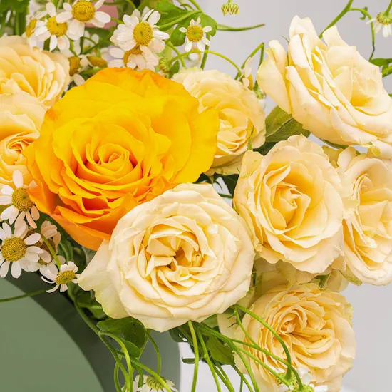 Best Wishes