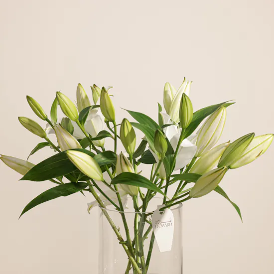 White Lilies | Glass Vase