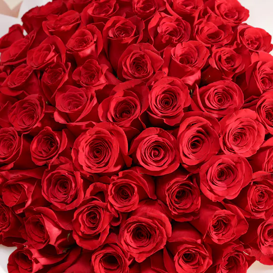 Romantic Red Roses Bouquet | 75 Flowers