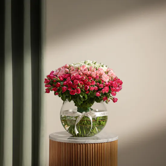Velvet Radiance Baby Roses Vase | 75 Flowers