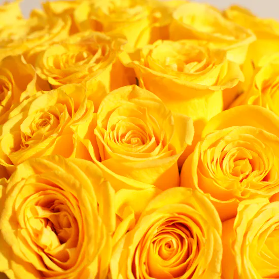 Sunshine Splendor Vase | 35 Roses
