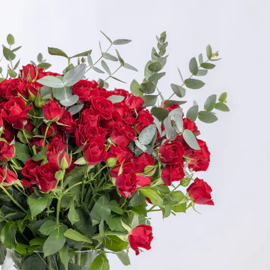 50 Red Baby Roses | Cylinder Vase